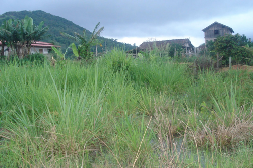 terreno
