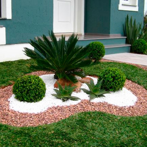 Dicas de Como Cuidar de um Jardim!