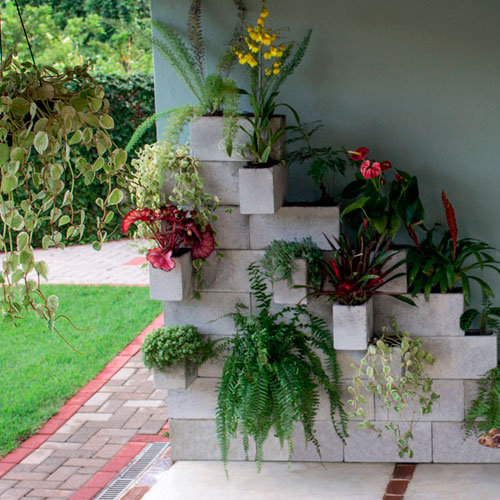 Dicas de Como Cuidar de um Jardim!