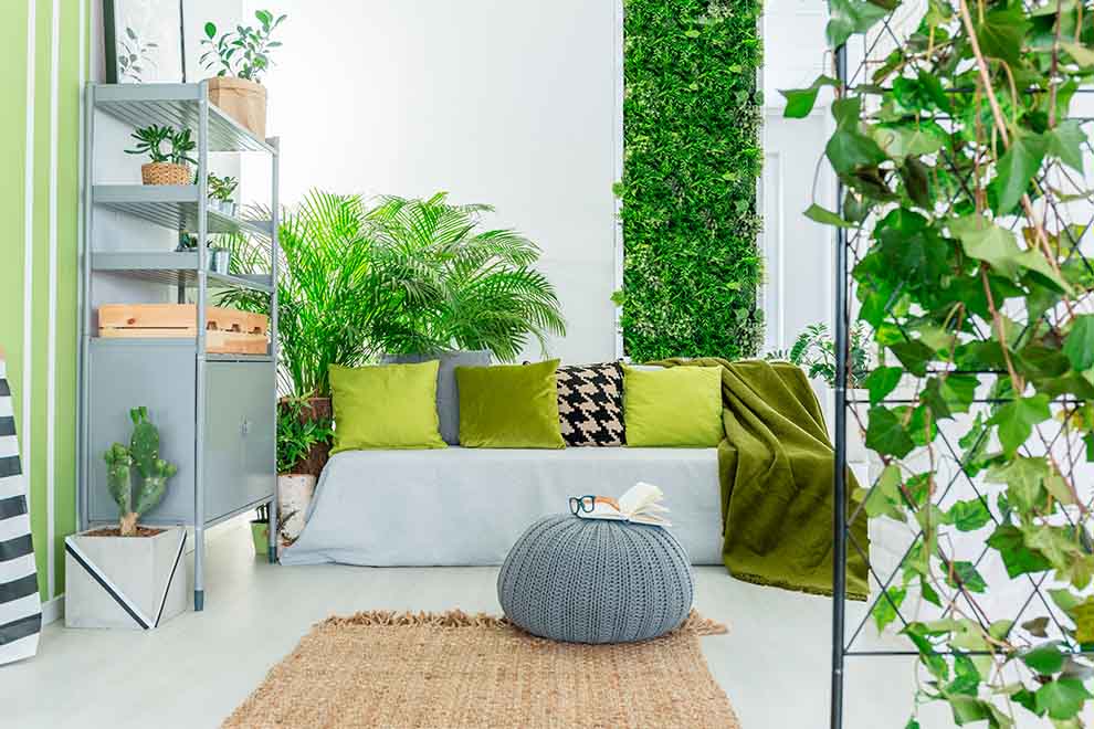 Jardim vertical em casa: como criar seu próprio canto verde